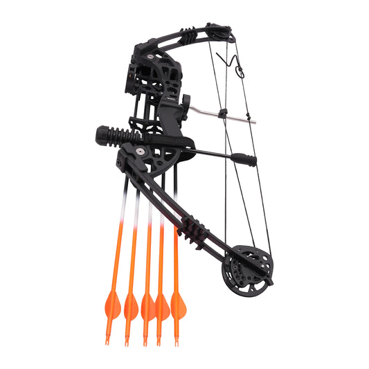 Compound Bow Kit with 12 arrows